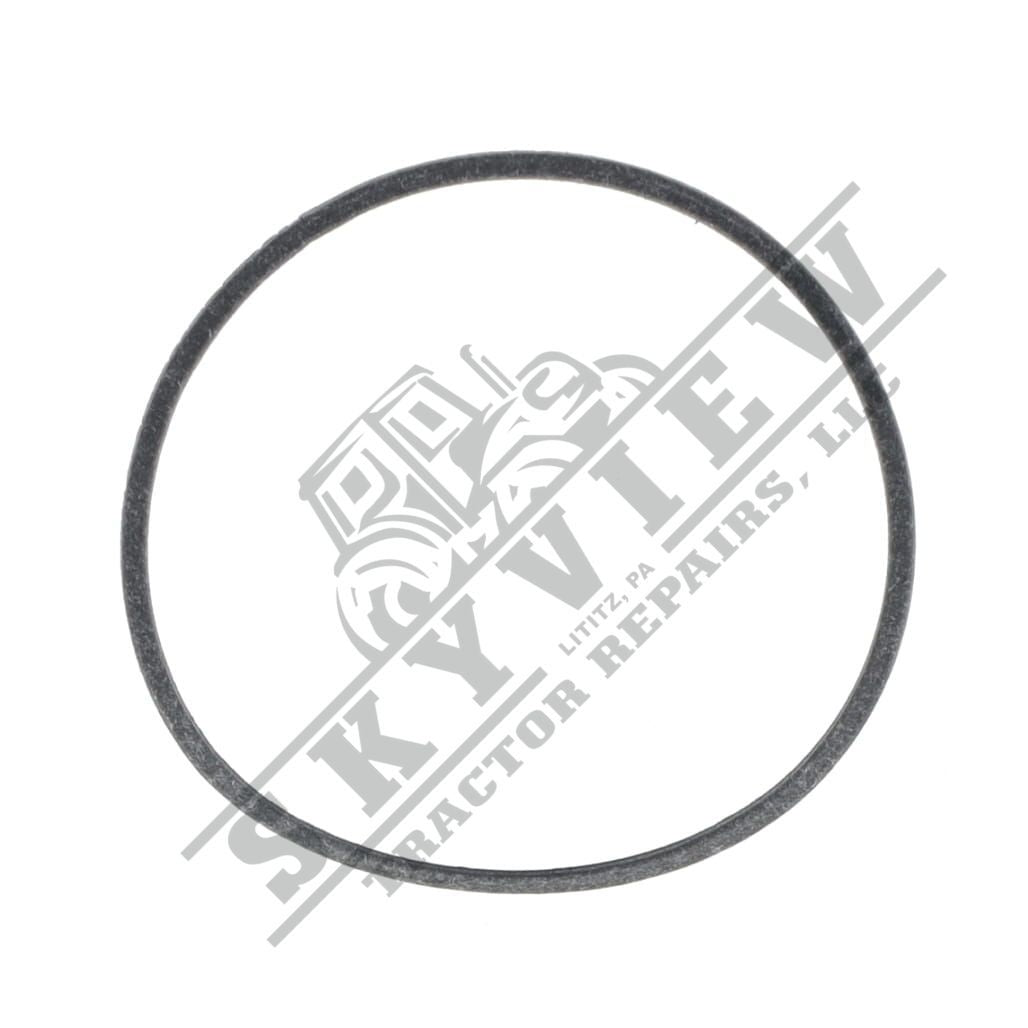 1000012550 - Thermostat Gasket