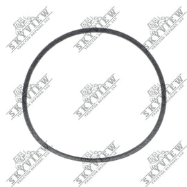 1000012550 - Thermostat Gasket