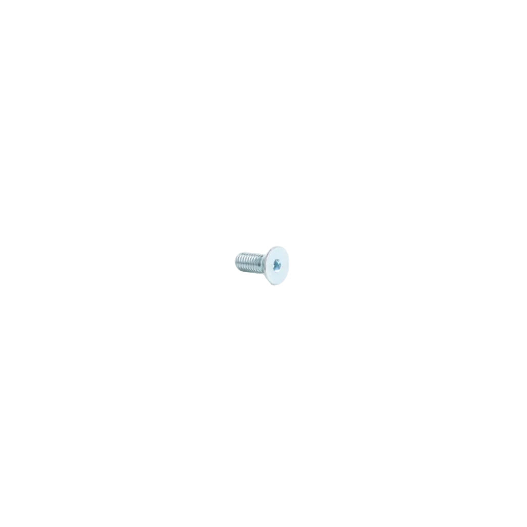 1000015373 - Screw