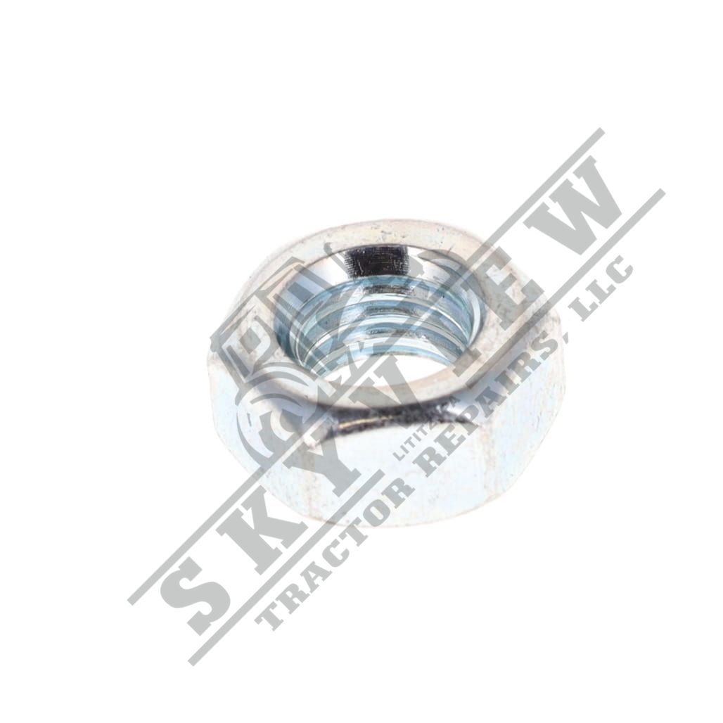 1000015406 - Hex Nut