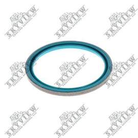 1000015707 - Gasket