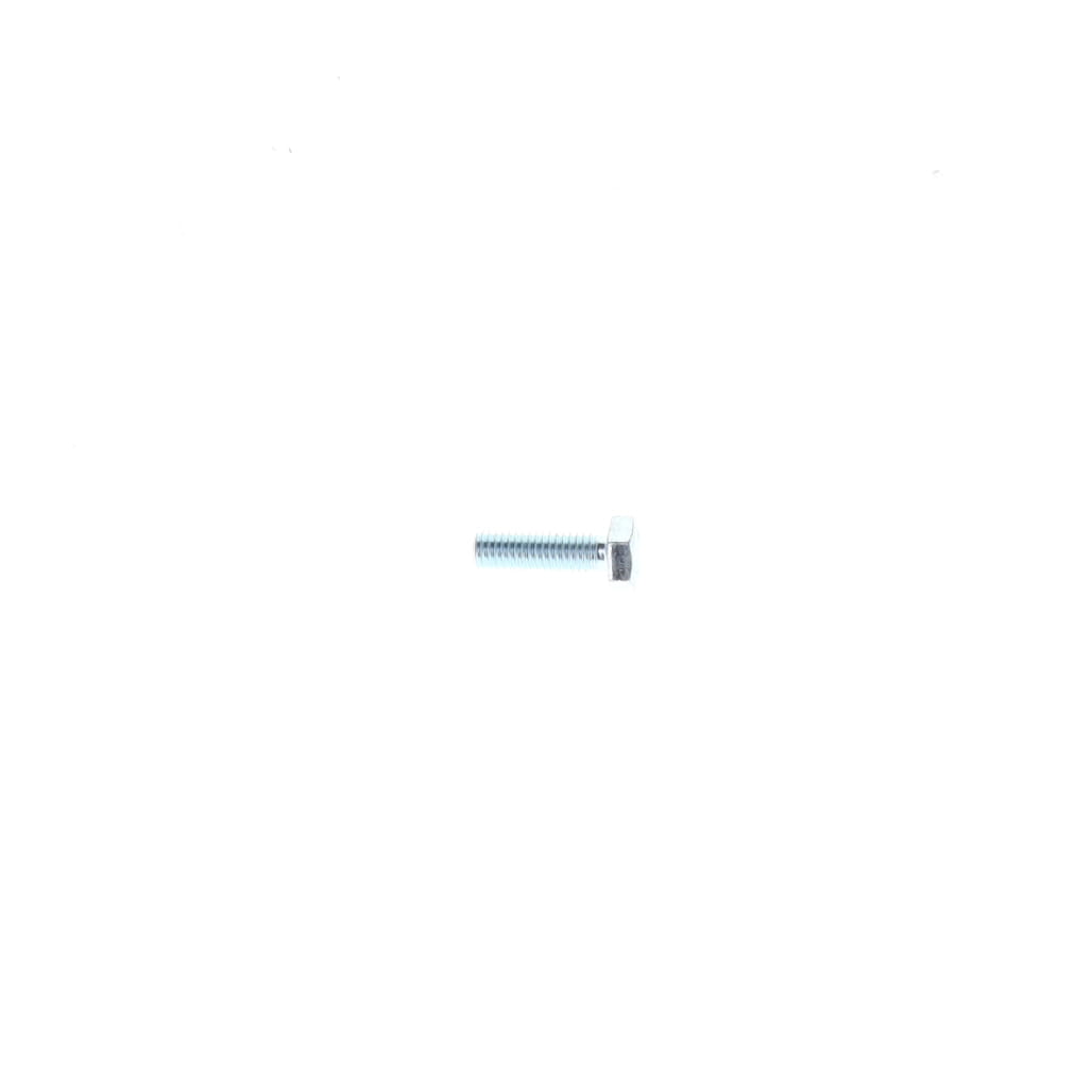 1000018400 - Hex Head Bolt M6