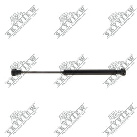 1000018418 - Gas Strut