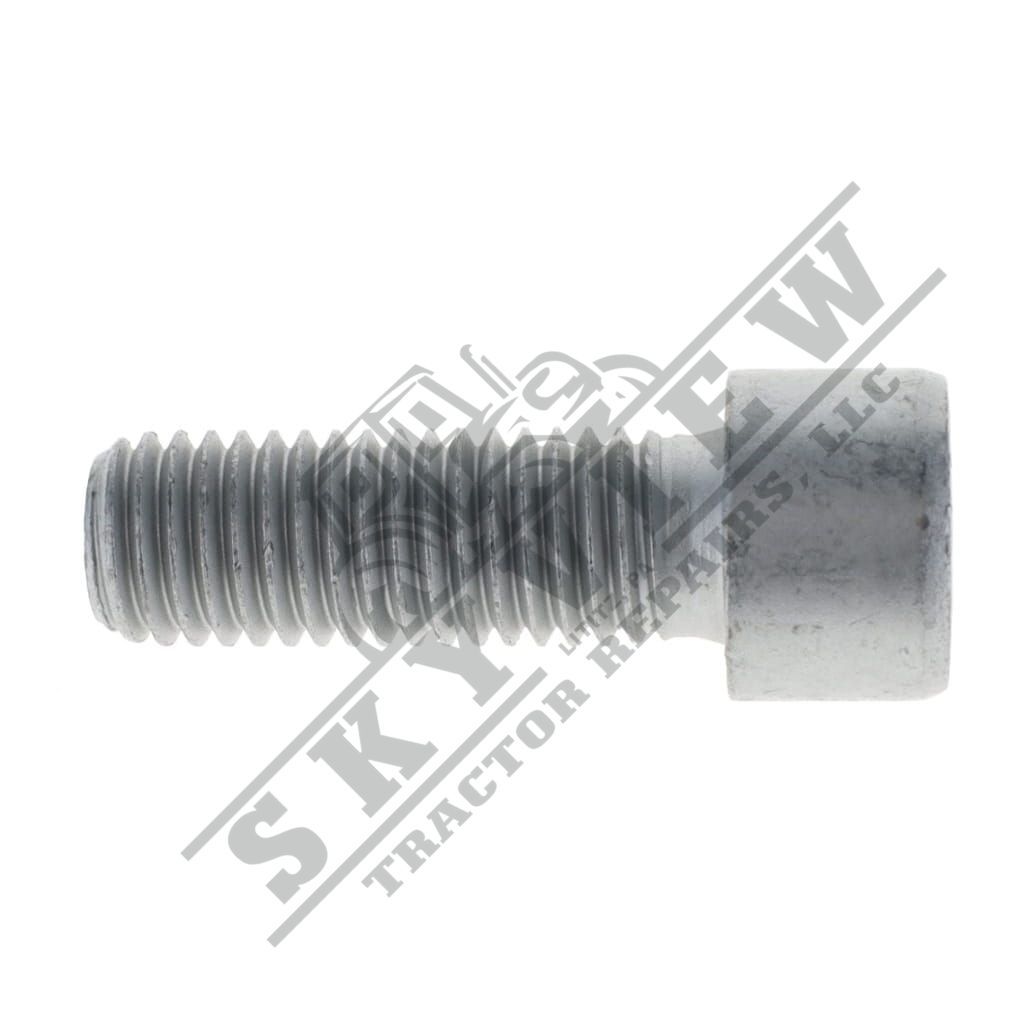 1000020189 - Allen Head Bolt