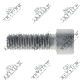 1000020189 - Allen Head Bolt