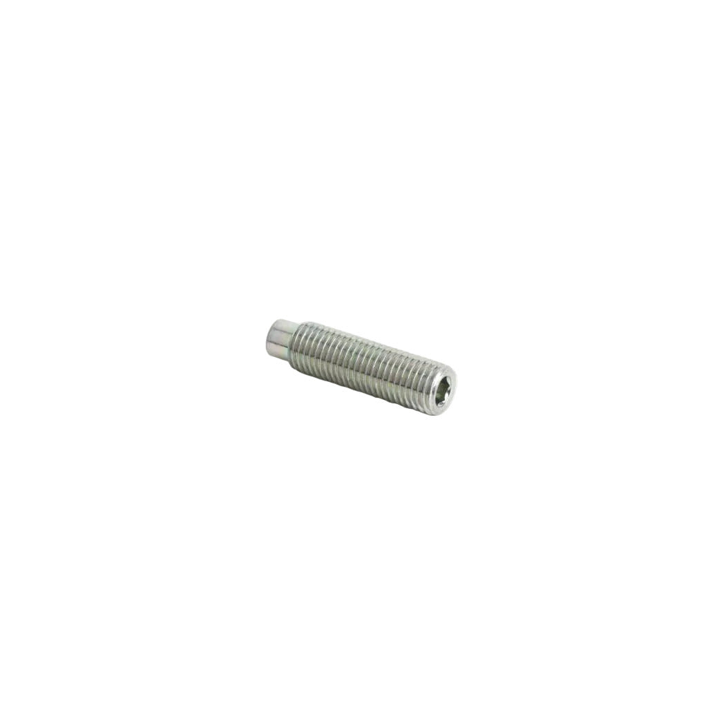 1000020408 - Pin