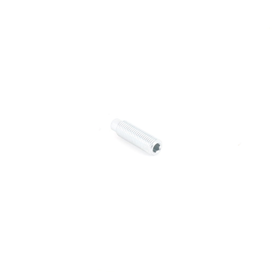 1000020409 - Thread Pin