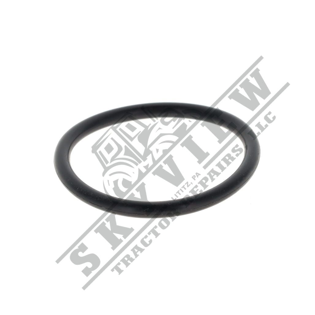 1000020771 - O Ring