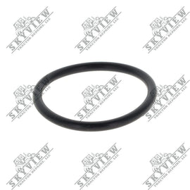 1000020771 - O Ring
