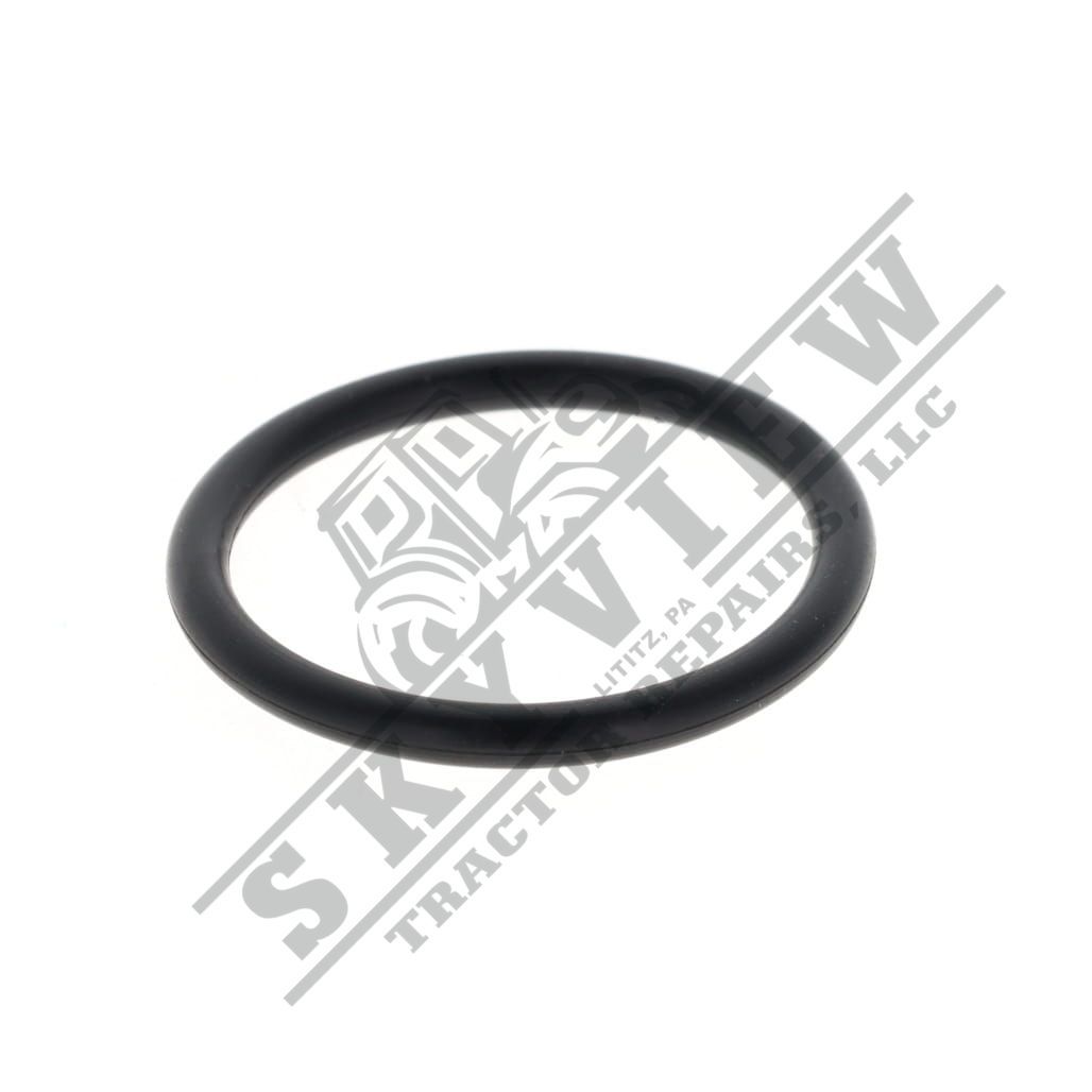 1000020772 - O Ring