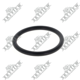 1000020772 - O Ring