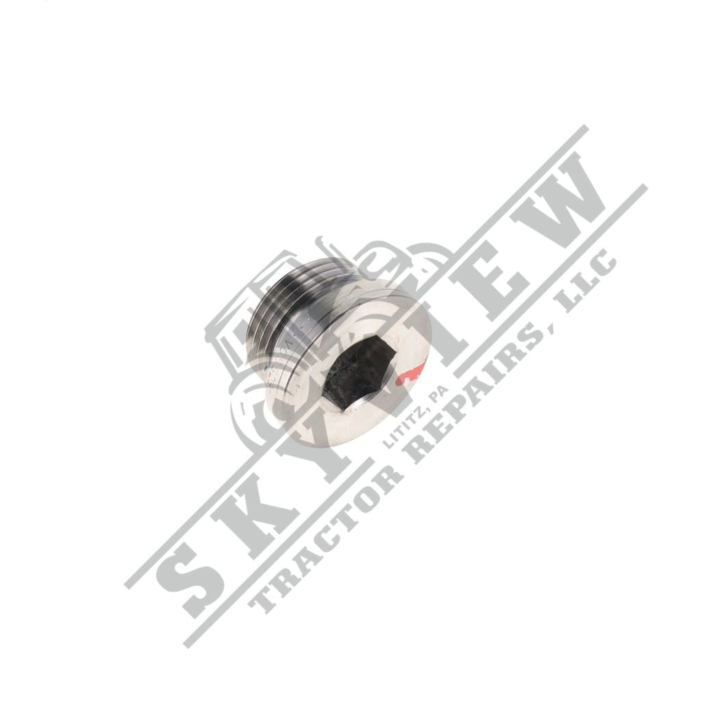 1000030655 - Allen Head Plug