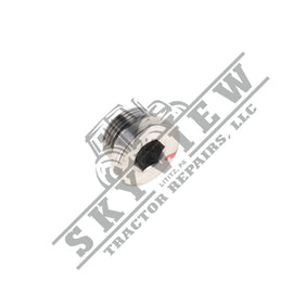1000030655 - Allen Head Plug