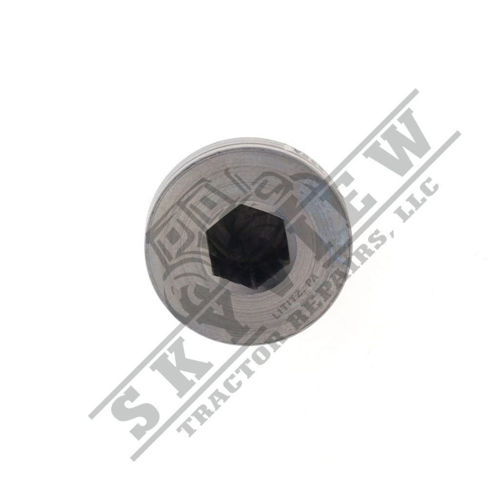 1000030660 - Plug