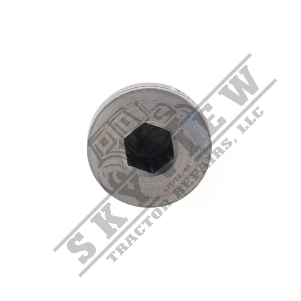 1000030660 - Plug