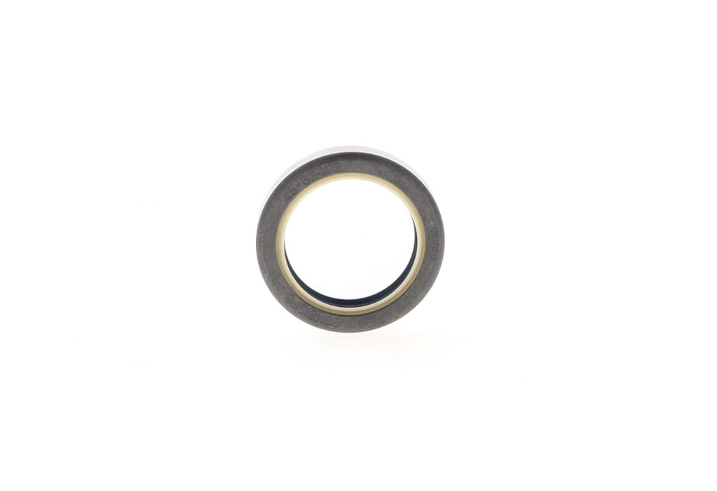 1000058615 - Lip Seal