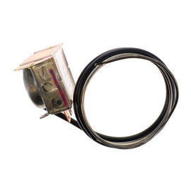 1000067940 - Thermostat Switch