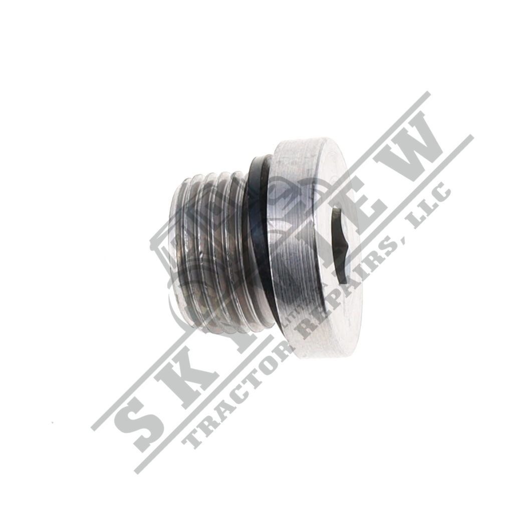 1000076206 - Allen Head Plug