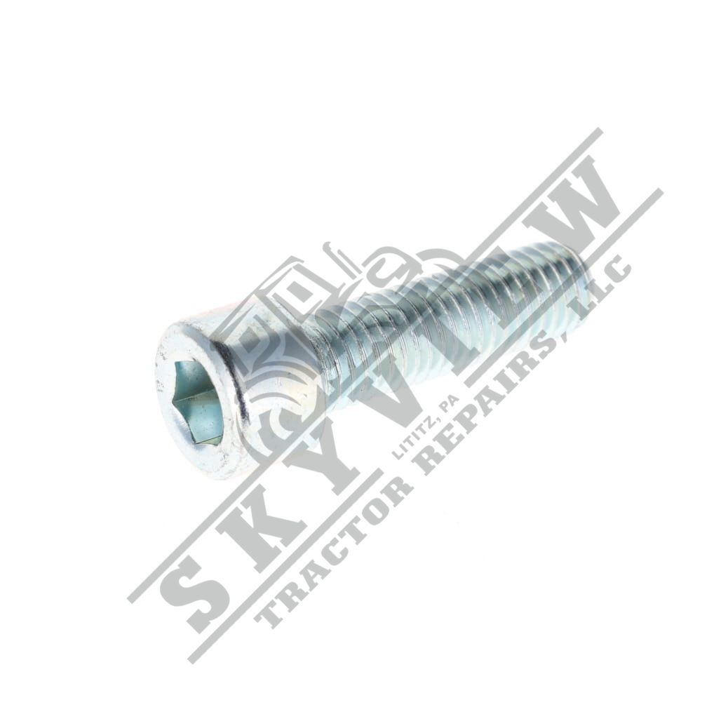 1000082242 - Allen Head Bolt