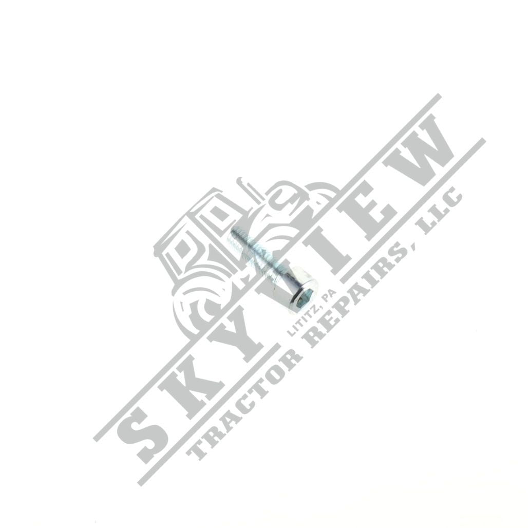 1000085456 - Allen Head Bolt