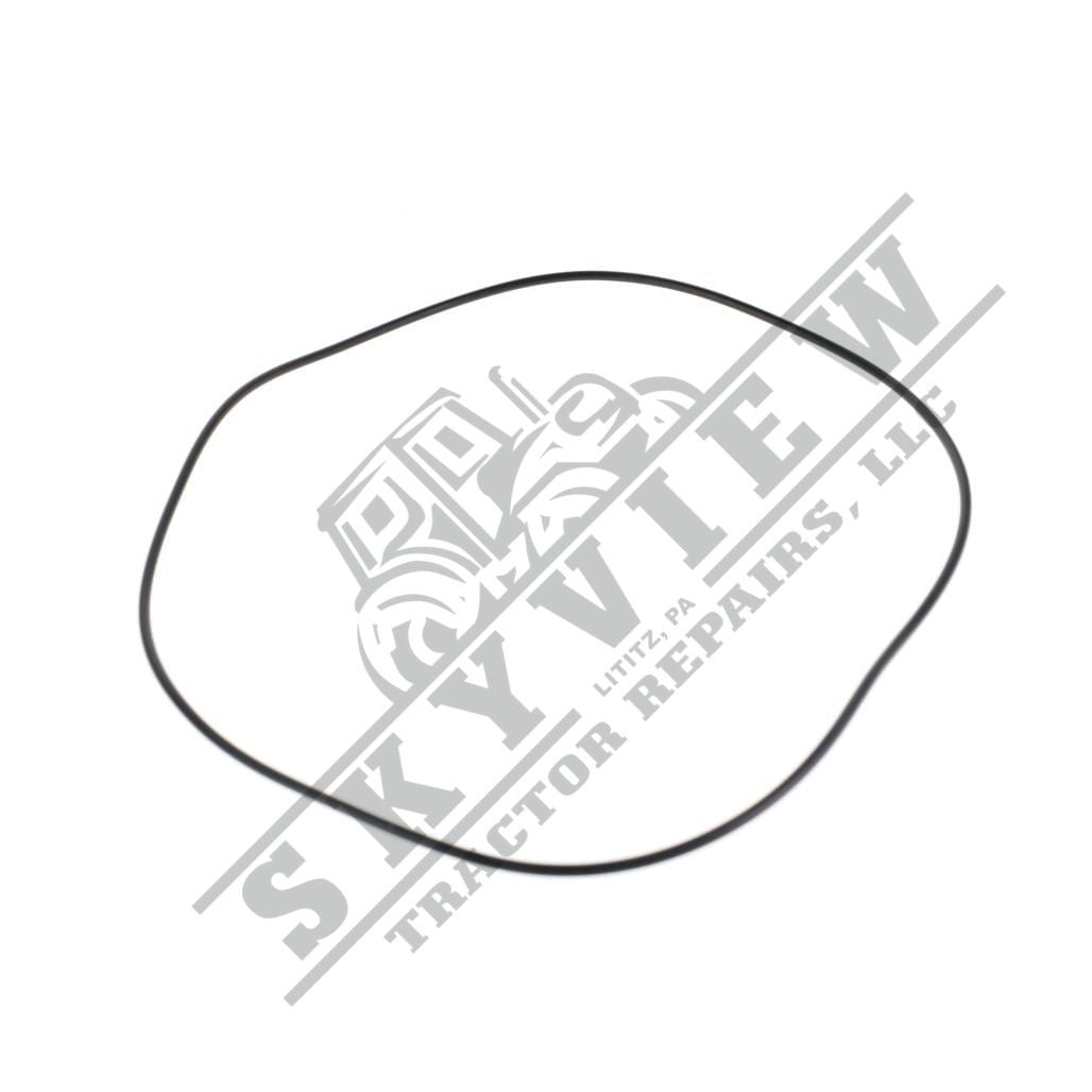 1000089250 - O Ring
