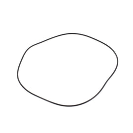 1000089250 - O Ring
