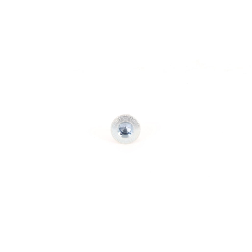 1000089284 - Plug