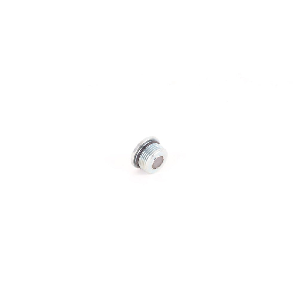 1000089284 - Plug