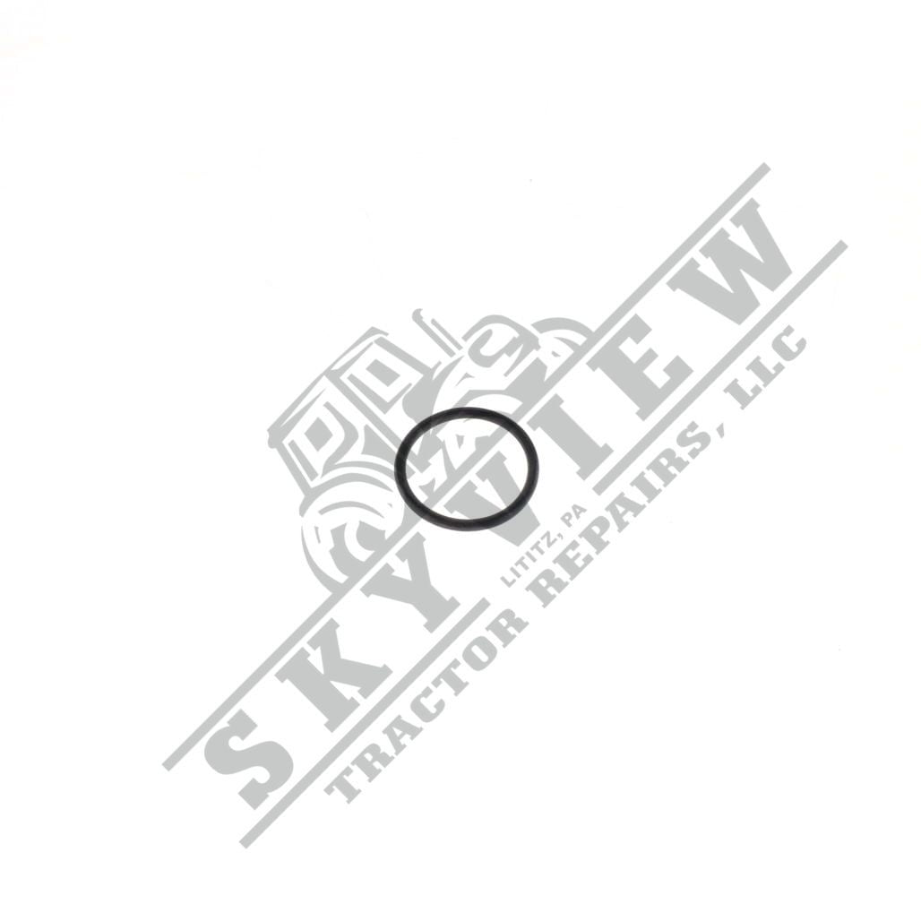 1000090263 - O Ring