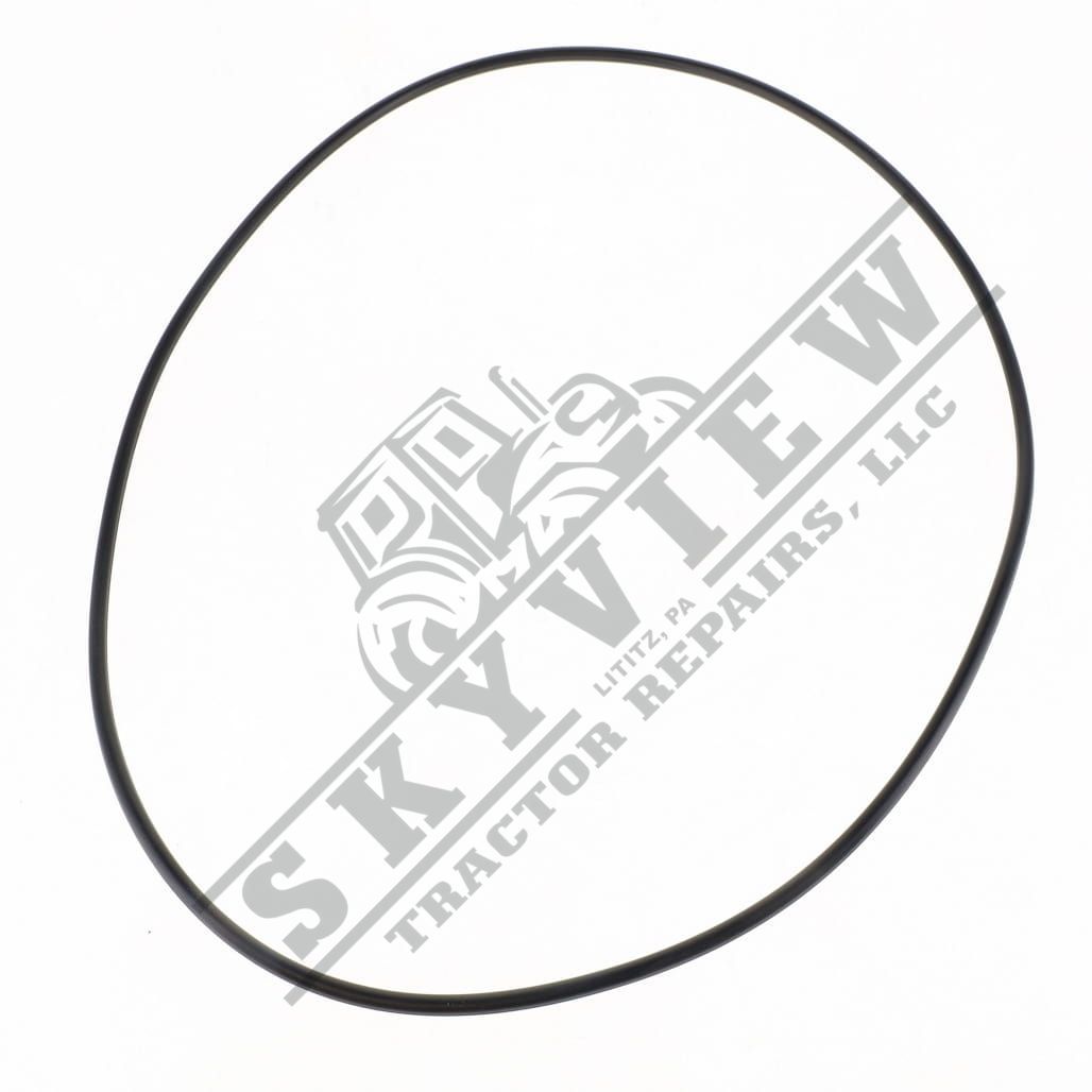 1000104639 - O Ring