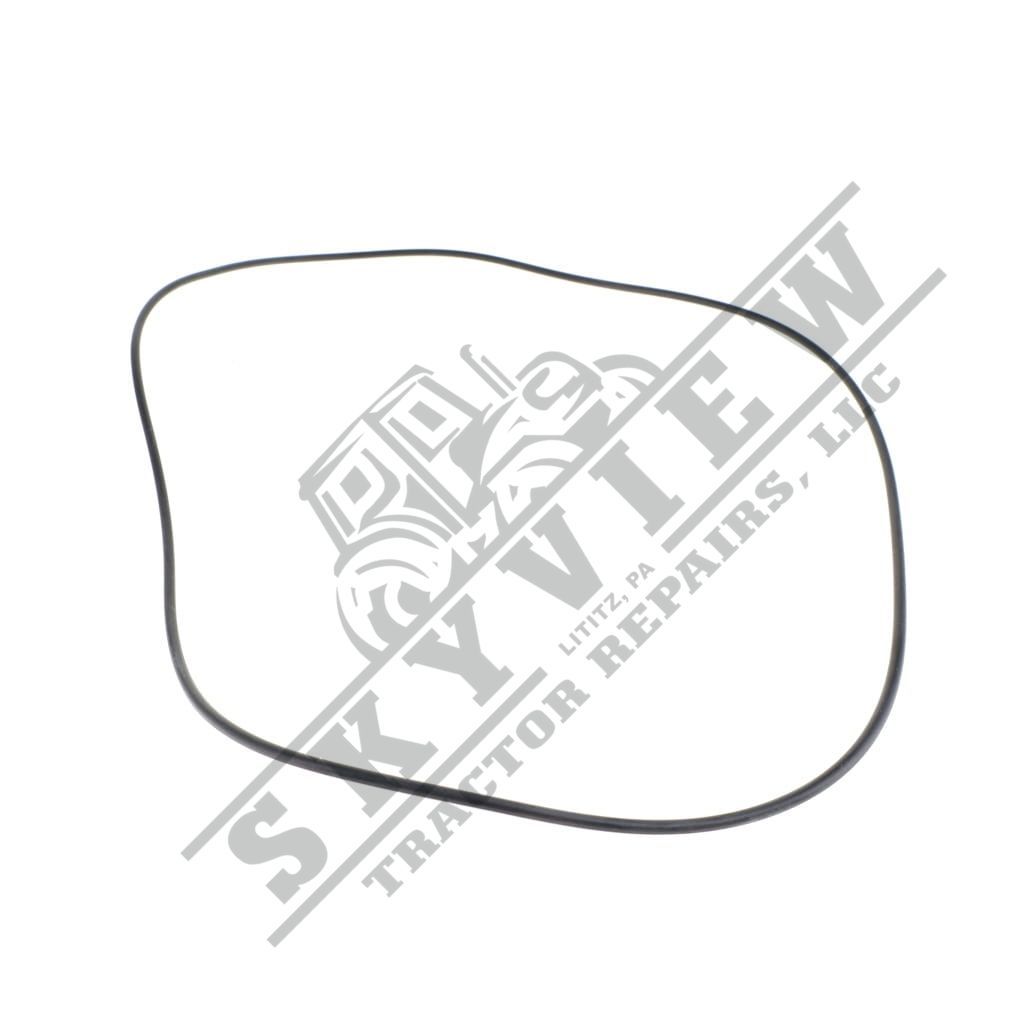 1000105848 - O Ring