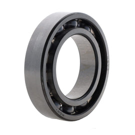1000106338 - Ball Bearing