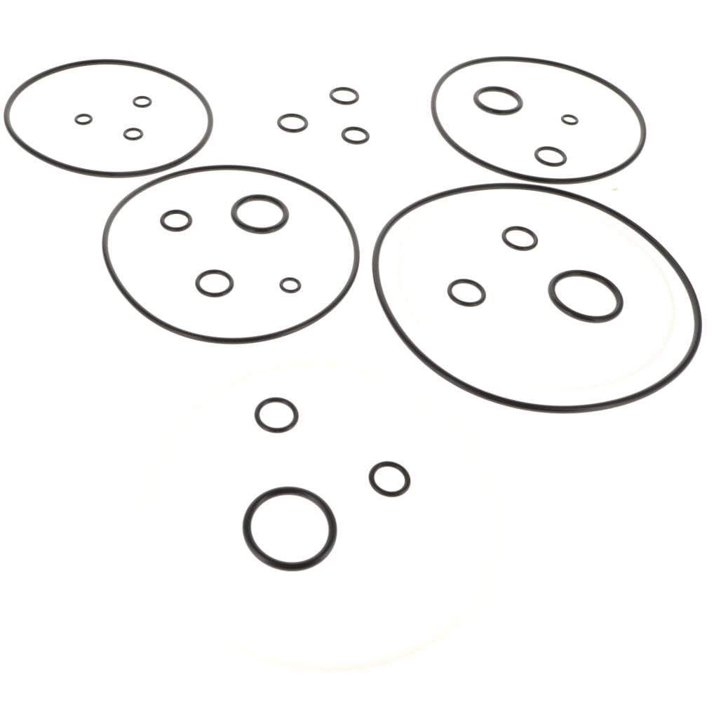 1000124572 - Drive Motor Seal Kit