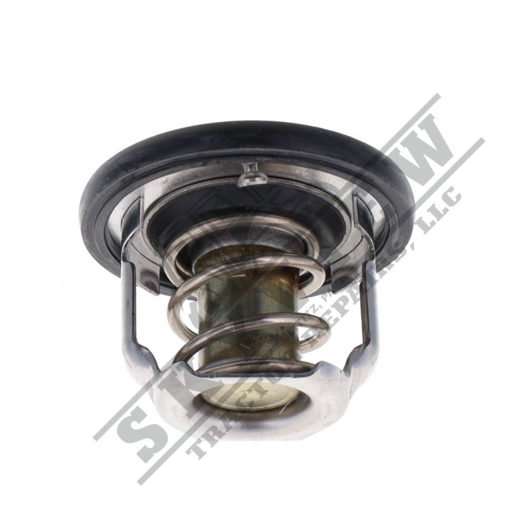 1000148389 - Thermostat