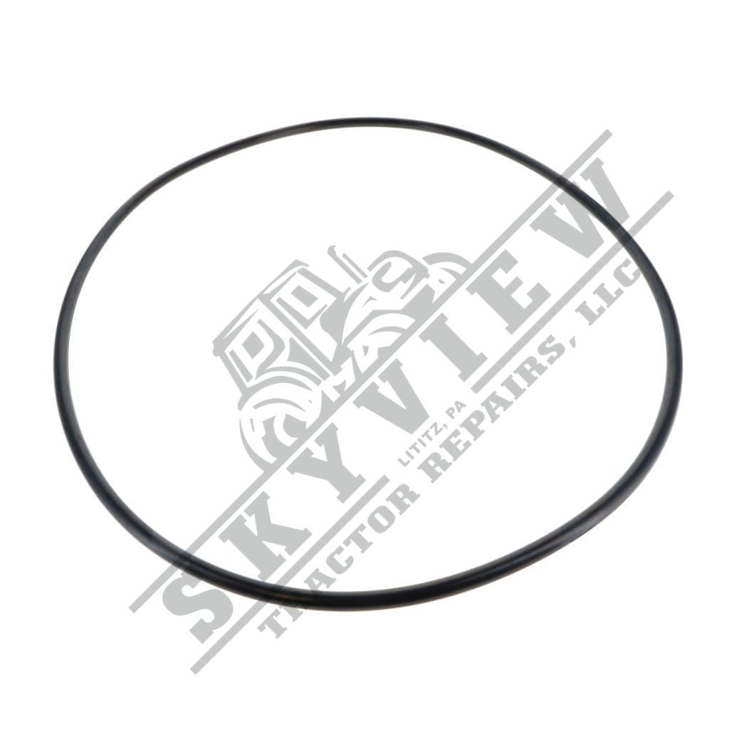 1000156106 - O-ring