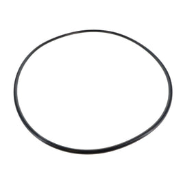 1000156106 - O-ring