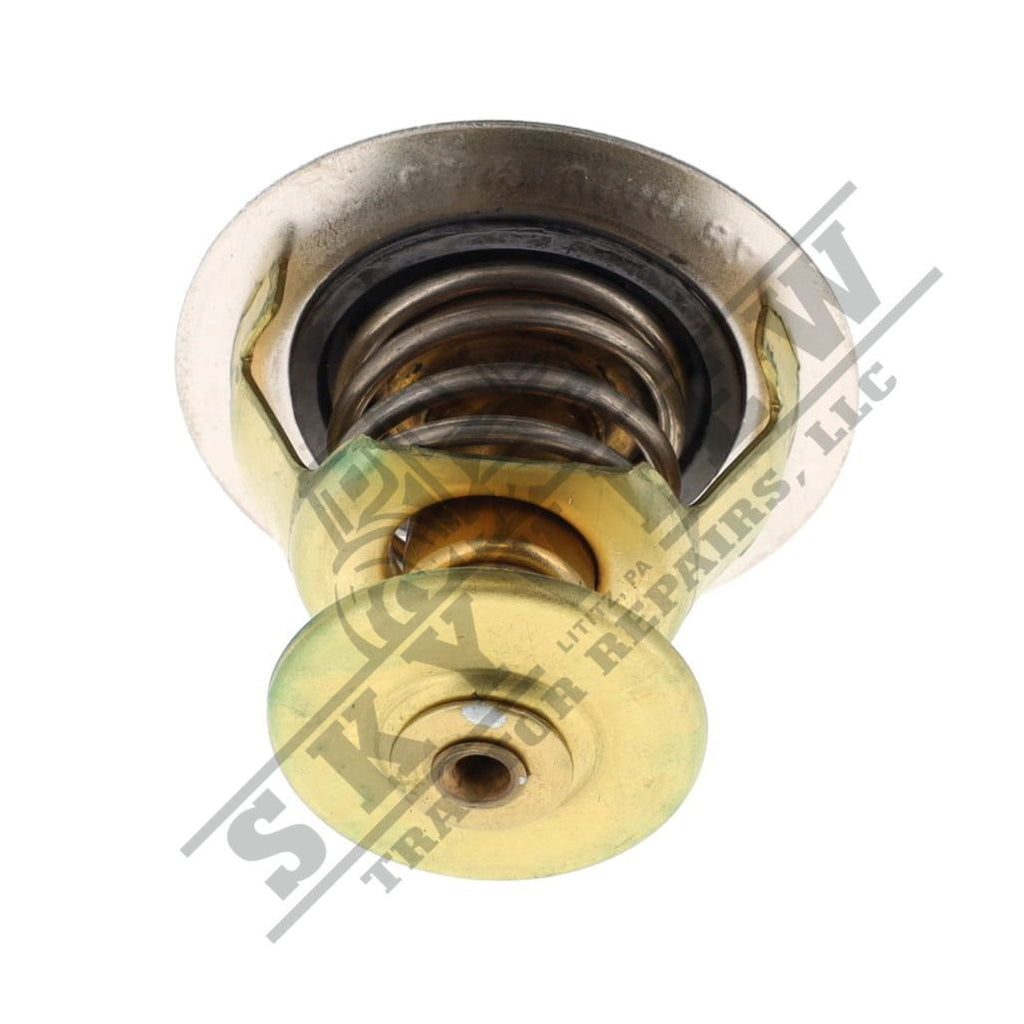 1000211107 - Thermostat