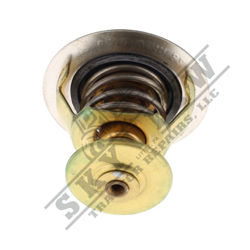 1000211107 - Thermostat