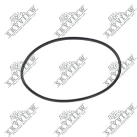 1000216338 - O-ring