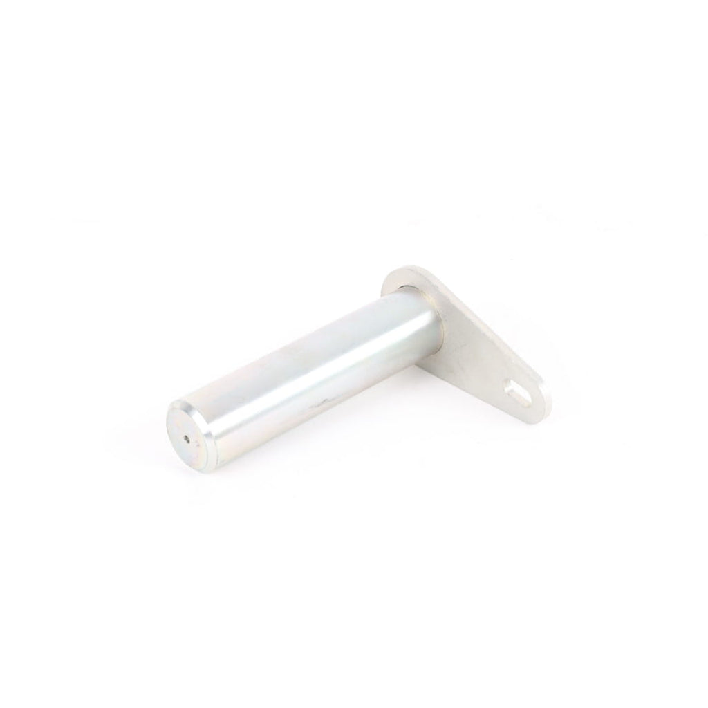1000224745 - Pin