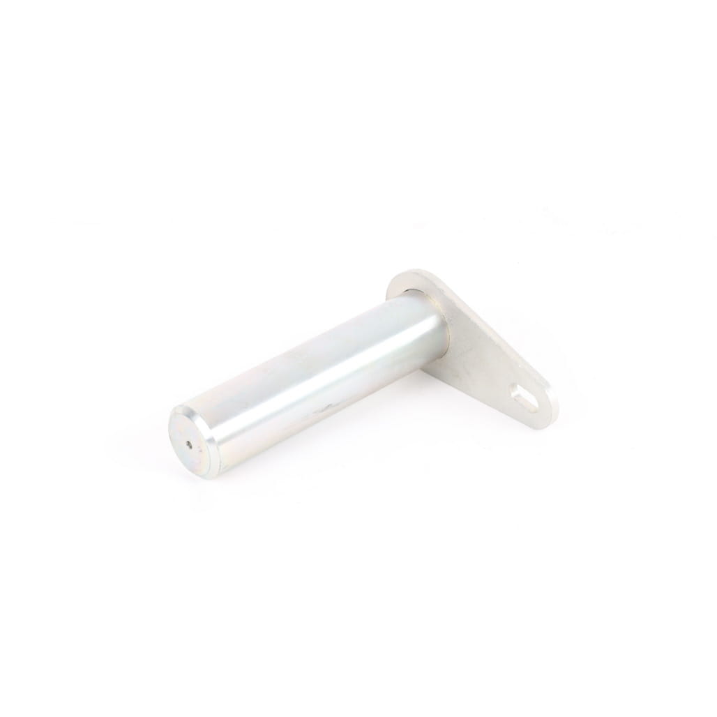 1000224745 - Pin