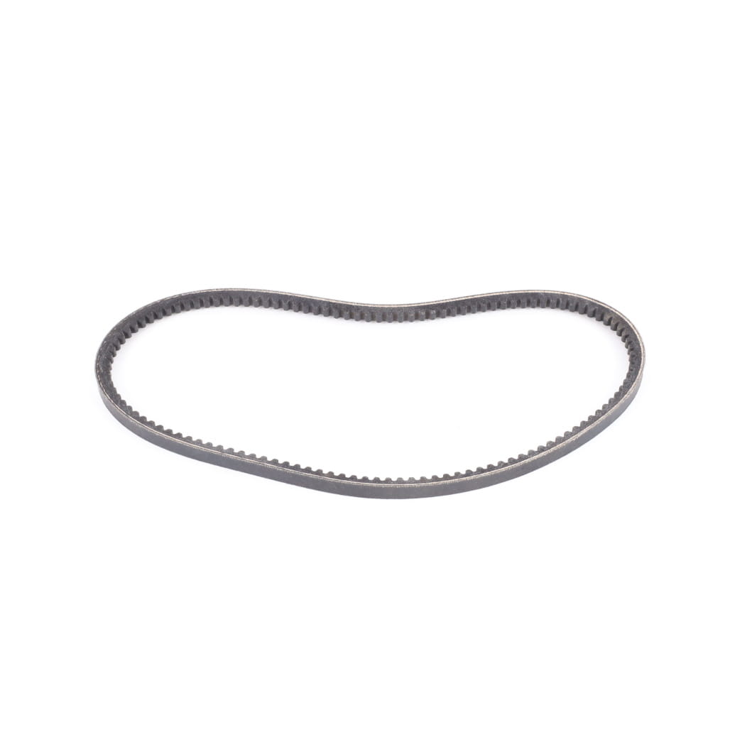 1000226630 - Belt