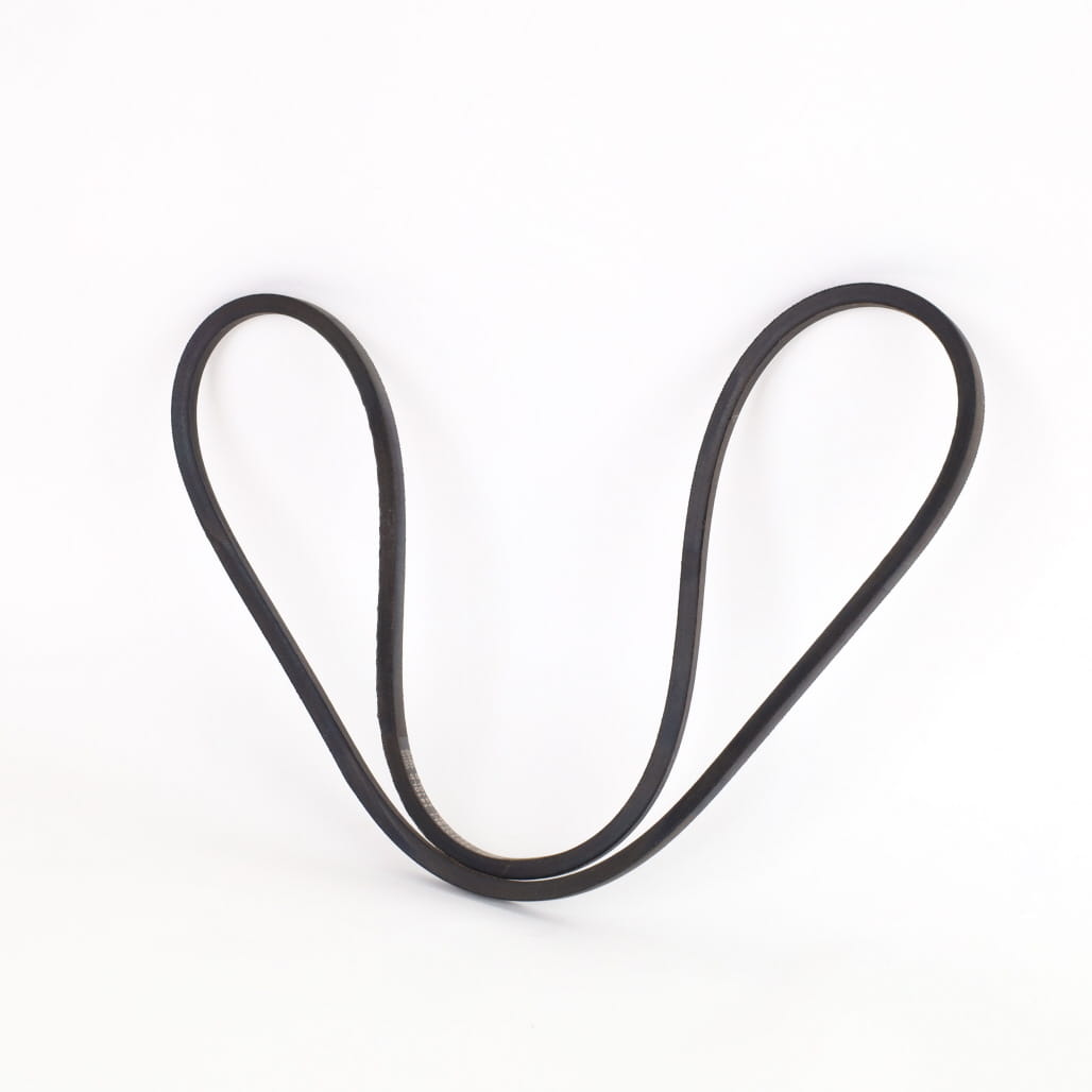 1000243212 - Belt