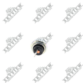 1000244102 - Oil Pressure Switch