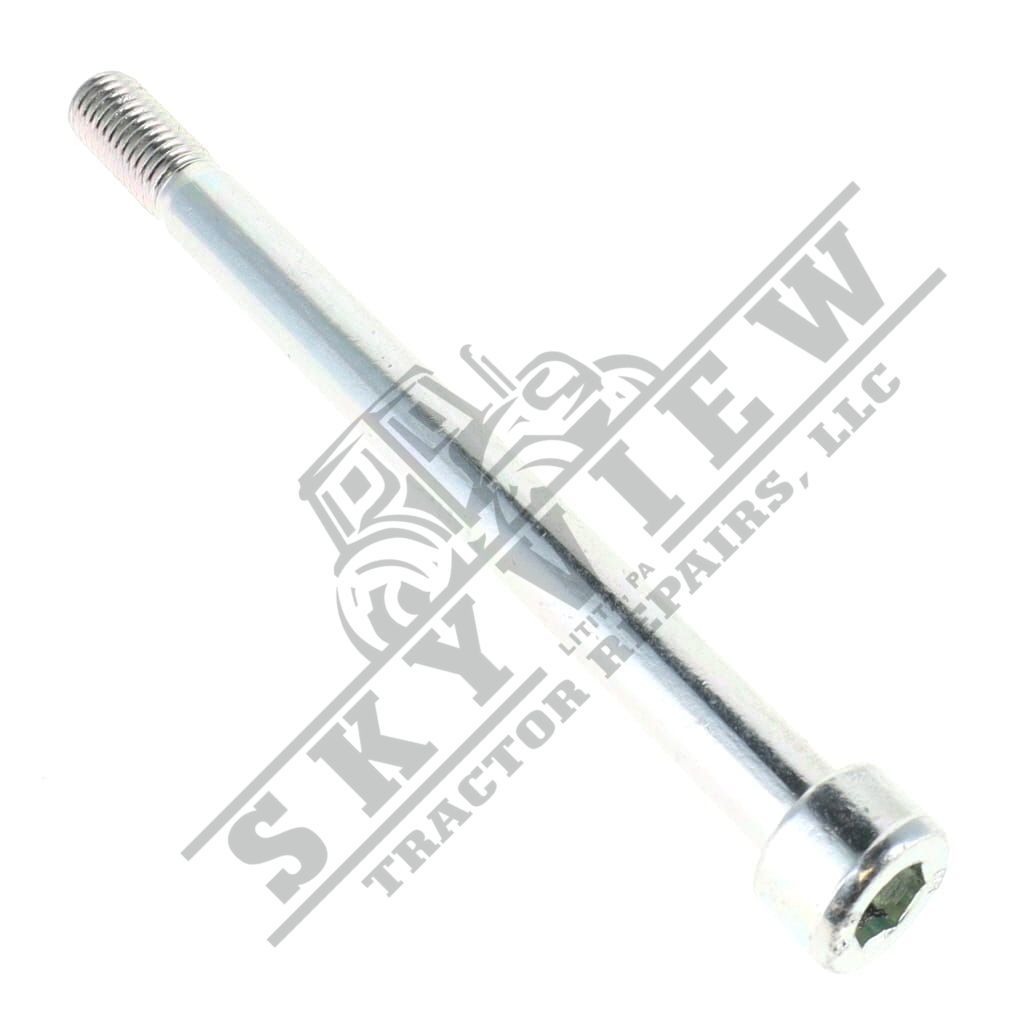 1000246447 - Cheese Head Screw