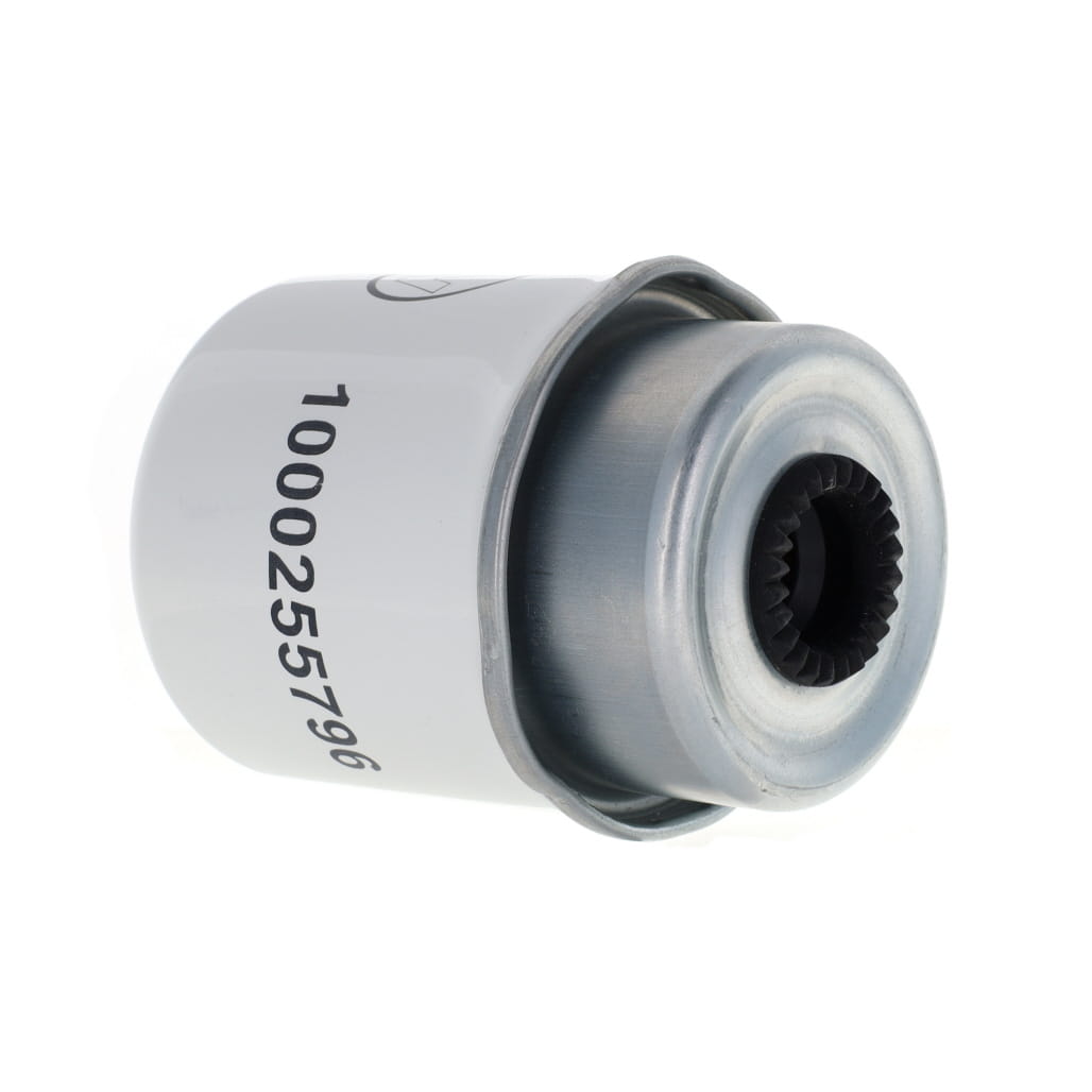 1000255796 - Fuel Filter