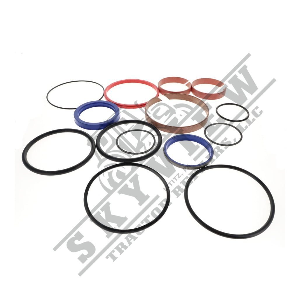 1000256058 - Seal Kit