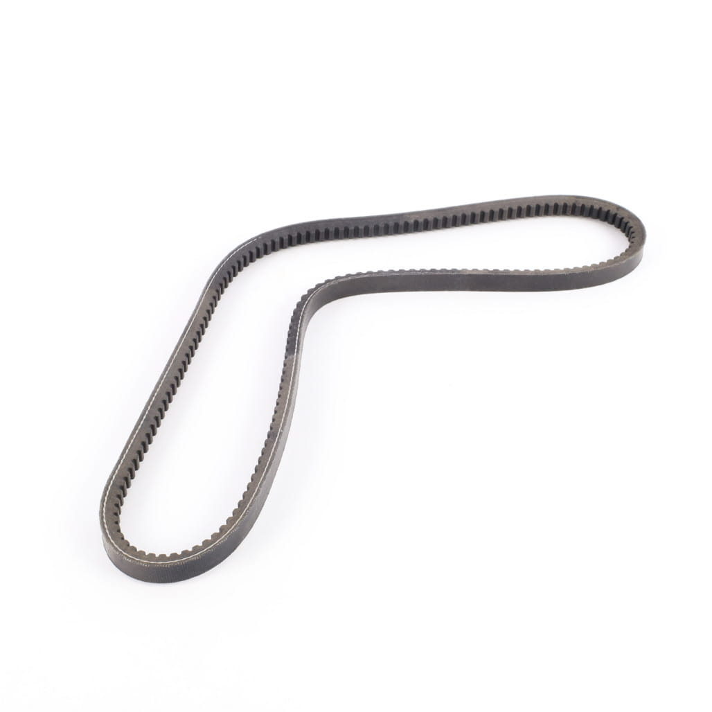 1000266559 - Belt