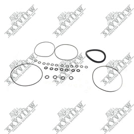 1000291321 - Seal Kit, Drivemotor