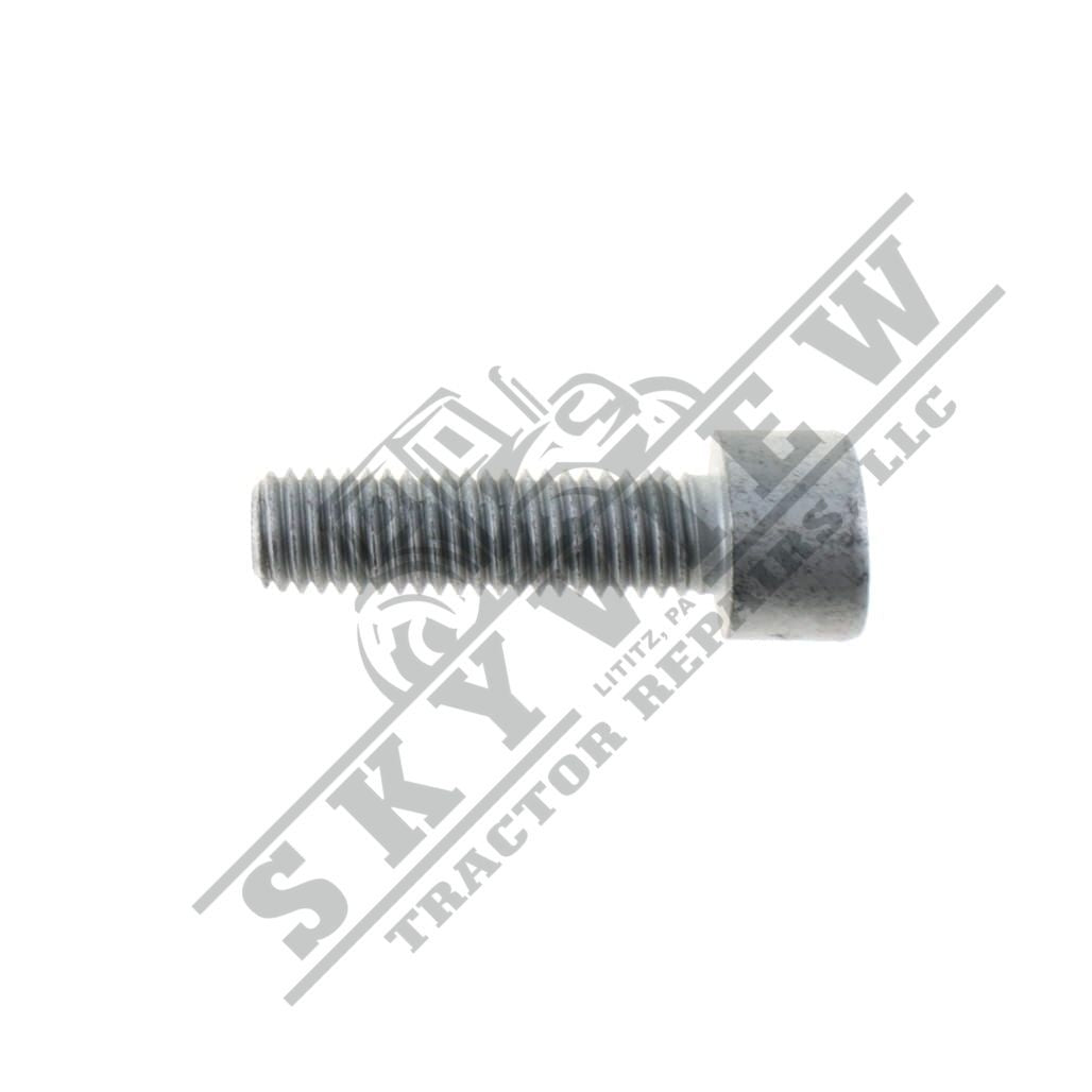 1000291564 - Cheese Head Screw